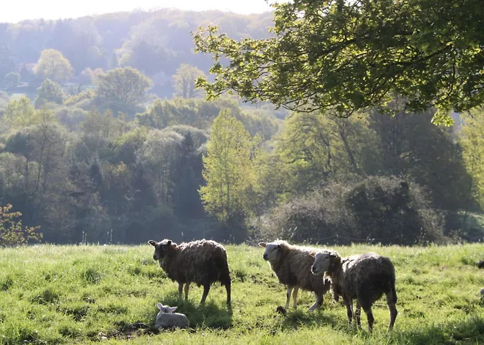 A La Ferme Les Berges Rient *